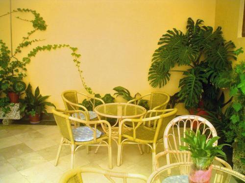 Hotel Paris *